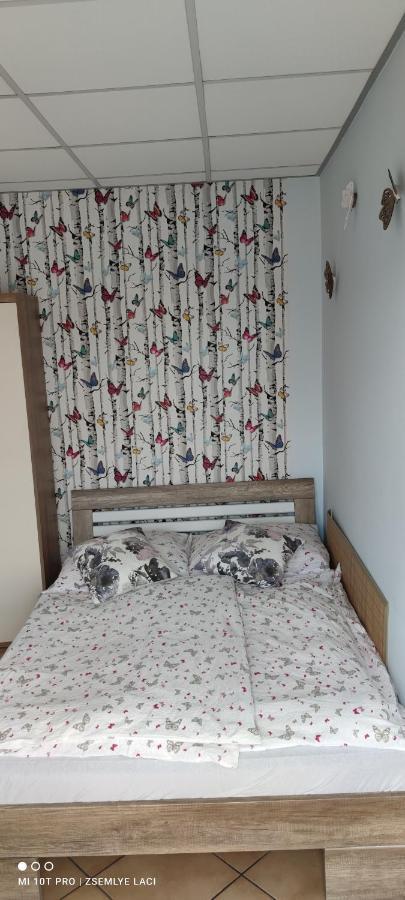 Hodosi Apartment